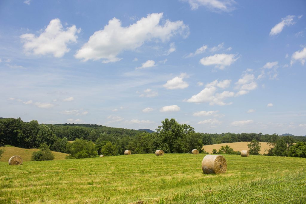 Castleton Farm