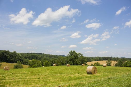 Castleton Farm